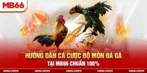Hướng Dẫn Cá Cược Bộ Môn Đá Gà Tại Mb66 Chuẩn 100%