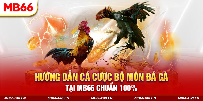 Hướng Dẫn Cá Cược Bộ Môn Đá Gà Tại Mb66 Chuẩn 100%