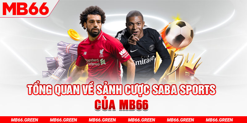 Tổng quan về sảnh cược Saba Sports của MB66