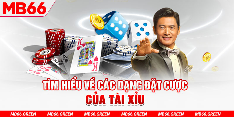 Tìm hiểu về các dạng đặt cược của tài xỉu