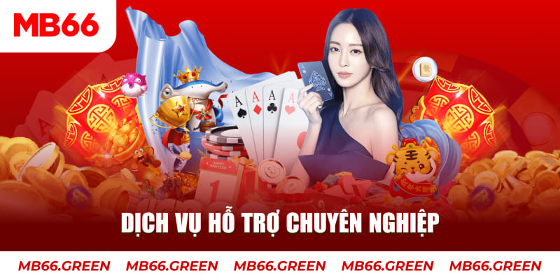 Dịch vụ hỗ trợ chuyên nghiệp 