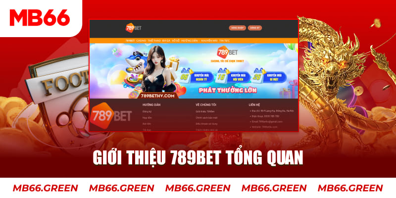 Giới thiệu 789bet tổng quan