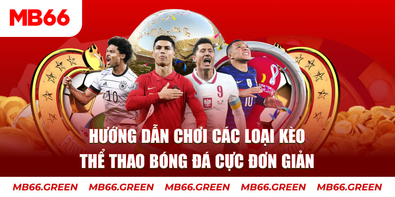 Hướng Dẫn Chơi Các Loại Kèo Thể Thao Bóng Đá Cực Đơn Giản