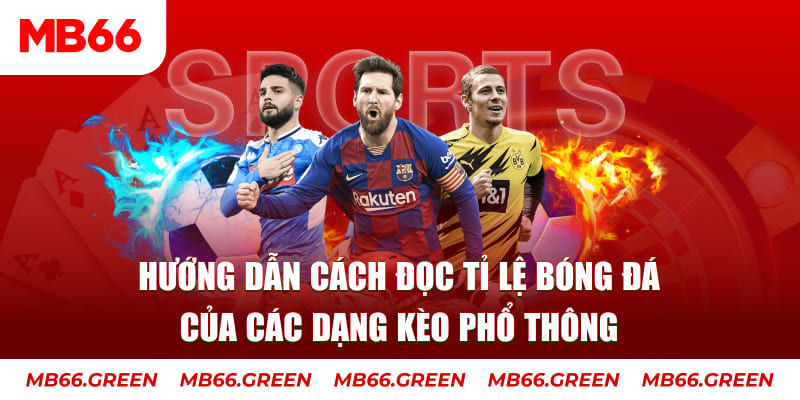 Hướng dẫn cách đọc tỉ lệ bóng đá của các dạng kèo phổ thông