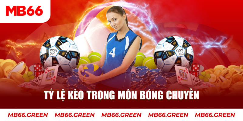 Tỷ lệ kèo trong môn bóng chuyền